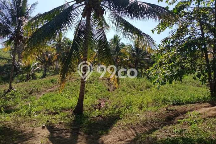 Lahan Kosong Dijual di Minahasa Tenggara dengan Area 800000m2 Lahan Kosong Dijual di Minahasa Tenggara dengan Area 800000m2