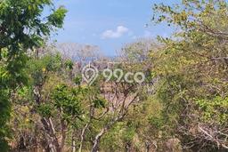 Tanah Kavling Dijual di Badung dengan Spesifikasi 450m2 Tanah Kavling Dijual di Badung dengan Spesifikasi 450m2