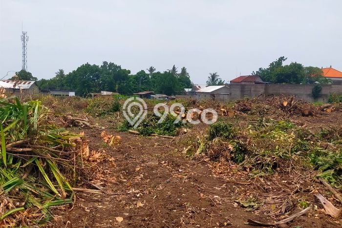 Tanah Dijual di Buleleng Seluas 100m2 Strategis Tanah Dijual di Buleleng Seluas 100m2 Strategis
