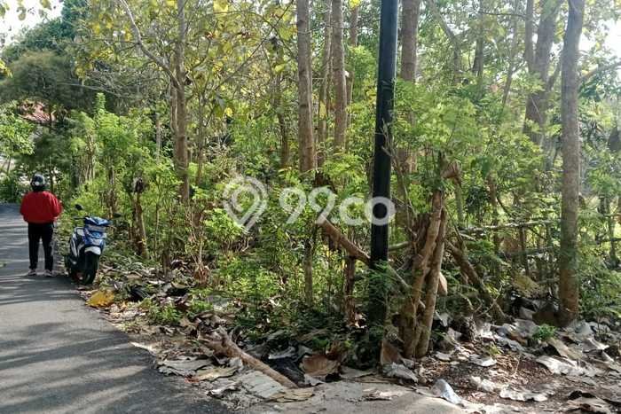 Lahan Dijual Lokasi Strategis di Badung dengan Luas 2100m2 Lahan Dijual Lokasi Strategis di Badung dengan Luas 2100m2