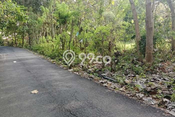 Lahan Dijual Lokasi Strategis di Badung dengan Luas 2100m2 Lahan Dijual Lokasi Strategis di Badung dengan Luas 2100m2