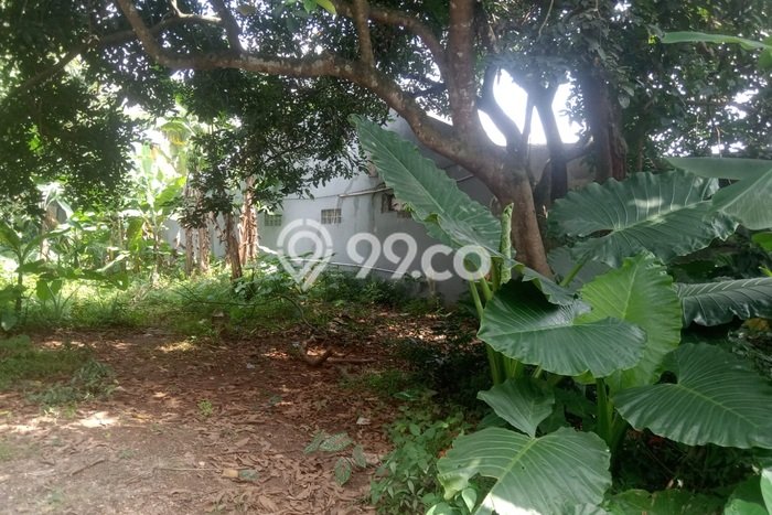Kavling Tanah Dijual di Pagedangan Tangerang Spesifikasi 630m2 Kavling Tanah Dijual di Pagedangan Tangerang Spesifikasi 630m2