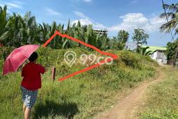 Tanah Dijual Area Strategis di Tamalanrea Indah Makassar 302m2 Tanah Dijual Area Strategis di Tamalanrea Indah Makassar 302m2
