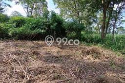 Tanah Dijual Area Strategis di wonokoyo Malang 653m2 Tanah Dijual Area Strategis di wonokoyo Malang 653m2