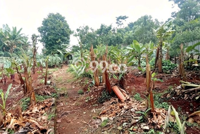 Tanah Disewakan Lokasi Bekasi Seluas 1200m2 Strategis dan Aman Tanah Disewakan Lokasi Bekasi Seluas 1200m2 Strategis dan Aman