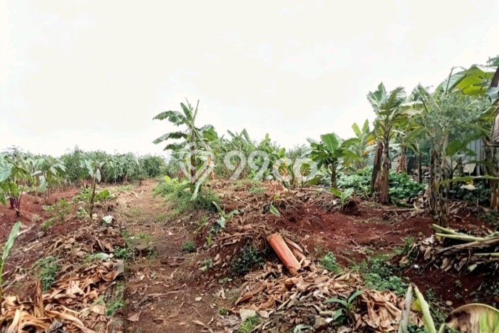 Tanah Disewakan Lokasi Bekasi Seluas 1200m2 Strategis dan Aman Tanah Disewakan Lokasi Bekasi Seluas 1200m2 Strategis dan Aman