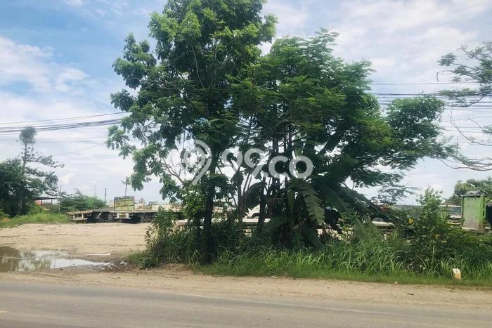 Tanah untuk Dijual Lokasi Palimanan, Cirebon Luas 15m2 SHM Tanah untuk Dijual Lokasi Palimanan, Cirebon Luas 15m2 SHM