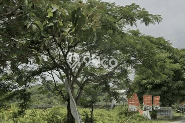 Tanah Dijual Lokasi Beber, Cirebon Luas 2760m2 Legalitas Aman Tanah Dijual Lokasi Beber, Cirebon Luas 2760m2 Legalitas Aman