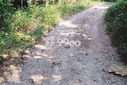 Tanah Dijual Lokasi Kuningan Kuningan AJB Tanah Dijual Lokasi Kuningan Kuningan AJB