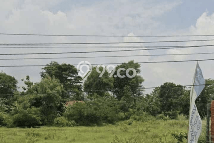 Tanah Dijual Lokasi Beber, Cirebon Luas 2760m2 Legalitas Aman Tanah Dijual Lokasi Beber, Cirebon Luas 2760m2 Legalitas Aman