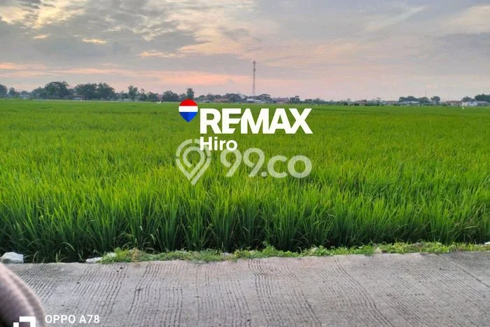Kavling Tanah Dijual di Karawang Barat Karawang Spesifikasi 3200m2 Kavling Tanah Dijual di Karawang Barat Karawang Spesifikasi 3200m2