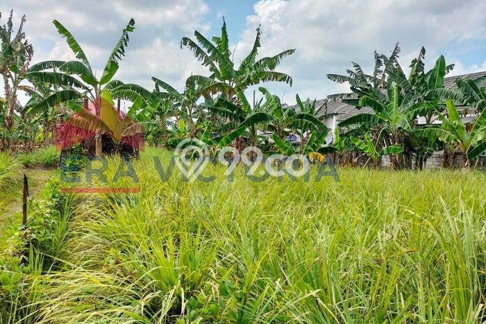 Tanah Premium Kawasan Pakisaji, Luas 144m2m², Akses Pakisaji, Malang, Malang Tanah Premium Kawasan Pakisaji, Luas 144m2m², Akses Pakisaji, Malang, Malang