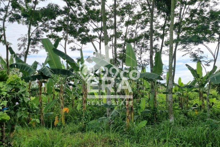 Jual Tanah di Sukun, Luas 234m2m², Lokasi Strategis Jual Tanah di Sukun, Luas 234m2m², Lokasi Strategis