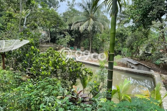 Rumah Akses Mudah area Pelabuhan Ratu, Sukabumi, Luas 1400m² LB 100m² Rumah Akses Mudah area Pelabuhan Ratu, Sukabumi, Luas 1400m² LB 100m²