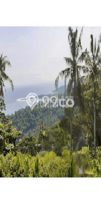 Tanah Dijual Lokasi Batu Layar, Lombok Barat Luas 2000m2 Legalitas Aman Tanah Dijual Lokasi Batu Layar, Lombok Barat Luas 2000m2 Legalitas Aman