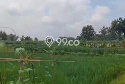 Tanah Dijual Lokasi Bojonegoro, Bojonegoro dengan Luas Tanah 5573m2 dan Status SHM Tanah Dijual Lokasi Bojonegoro, Bojonegoro dengan Luas Tanah 5573m2 dan Status SHM