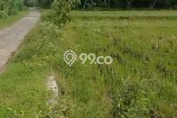 Lahan Kosong Dijual di Bojonegoro dengan Area 5933m2 Lahan Kosong Dijual di Bojonegoro dengan Area 5933m2