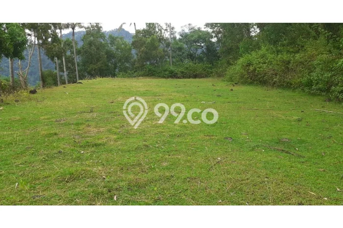 Lahan untuk Dijual Lokasi Batu Layar, Lombok Barat Luas 2000m2 SHM Lahan untuk Dijual Lokasi Batu Layar, Lombok Barat Luas 2000m2 SHM