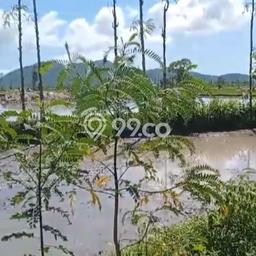 Lahan Dijual Lokasi Mataram, Mataram dengan Luas Tanah 260000m2 dan Status SHM Lahan Dijual Lokasi Mataram, Mataram dengan Luas Tanah 260000m2 dan Status SHM