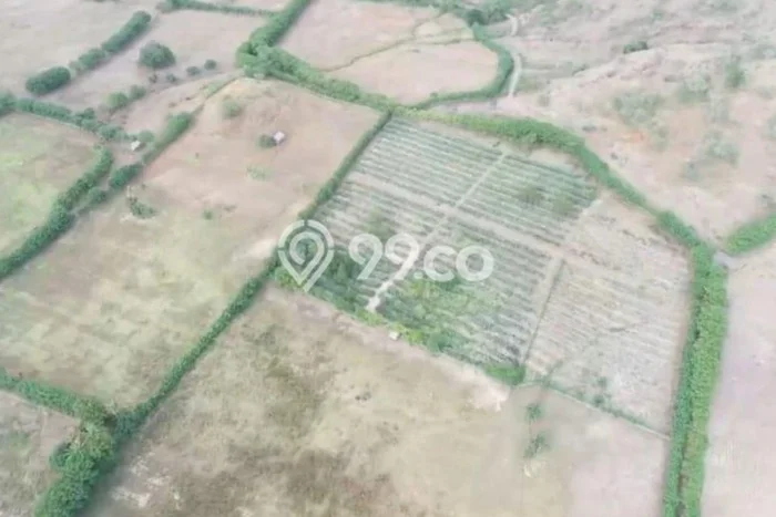 Lahan Strategis di Sumbawa Dijual dengan Luas 11400m2 Lahan Strategis di Sumbawa Dijual dengan Luas 11400m2