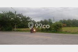 Kavling Tanah Dijual di Padangan Bojonegoro Spesifikasi 10445m2 Kavling Tanah Dijual di Padangan Bojonegoro Spesifikasi 10445m2