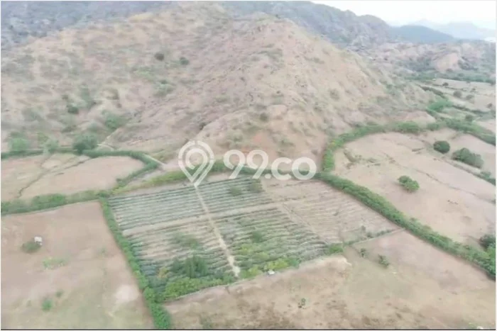 Lahan Strategis di Sumbawa Dijual dengan Luas 11400m2 Lahan Strategis di Sumbawa Dijual dengan Luas 11400m2