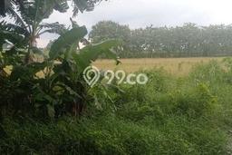 Lahan Strategis di Padangan Dijual dengan Luas 3587m2 Lahan Strategis di Padangan Dijual dengan Luas 3587m2