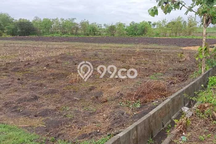 Lahan untuk Dijual Lokasi Bojonegoro, Bojonegoro Luas 12920m2 SHM Lahan untuk Dijual Lokasi Bojonegoro, Bojonegoro Luas 12920m2 SHM