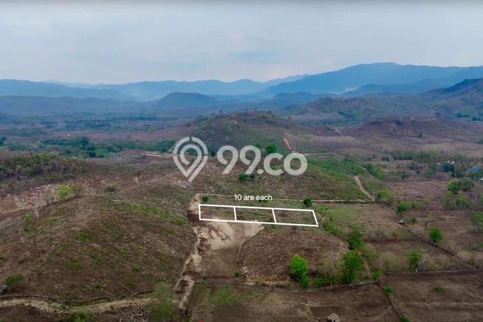 Tanah Komersial Dijual di Sumbawa Sumbawa 12000m2 Tanah Komersial Dijual di Sumbawa Sumbawa 12000m2