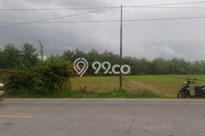 Kavling Tanah Dijual di Padangan Bojonegoro Spesifikasi 10445m2 Kavling Tanah Dijual di Padangan Bojonegoro Spesifikasi 10445m2