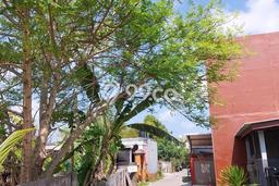 Disewakan Tanah di Badung, Luas 200m2 Area Berkembang Disewakan Tanah di Badung, Luas 200m2 Area Berkembang