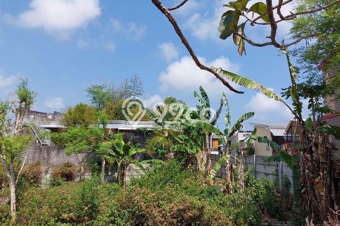Disewakan Tanah di Badung, Luas 200m2 Area Berkembang Disewakan Tanah di Badung, Luas 200m2 Area Berkembang