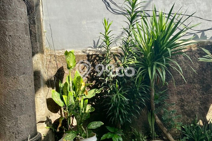 Hunian Mewah Dijual LT 250m2 di Denpasar Utara, Denpasar Hunian Mewah Dijual LT 250m2 di Denpasar Utara, Denpasar