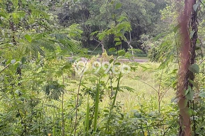 Lahan Dijual Lokasi Strategis di Bogor dengan Luas 712m2 Lahan Dijual Lokasi Strategis di Bogor dengan Luas 712m2