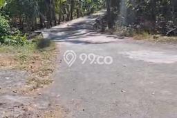 Kavling Tanah Dijual di Purwodadi, Purworejo, Luas 2750m2 Area Strategis Kavling Tanah Dijual di Purwodadi, Purworejo, Luas 2750m2 Area Strategis