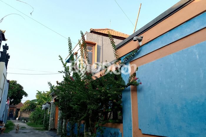 Rumah Minimalis 5 KT di Ubung Kaja Denpasar Full Furnished Rumah Minimalis 5 KT di Ubung Kaja Denpasar Full Furnished