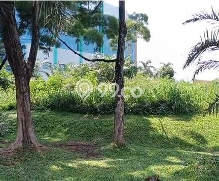 Disewakan Tanah di Alam Sutera Tangerang Seluas 1000m2 Disewakan Tanah di Alam Sutera Tangerang Seluas 1000m2