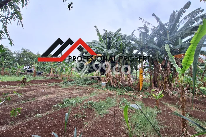 Tanah Kavling Dijual di Pondok Cabe, Tangerang dengan Luas Tanah 5000m2 Tanah Kavling Dijual di Pondok Cabe, Tangerang dengan Luas Tanah 5000m2