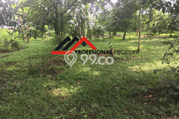 Tanah Dijual Lokasi Pamulang, Tangerang Selatan dengan Luas Tanah 1296m2 dan Status SHM Tanah Dijual Lokasi Pamulang, Tangerang Selatan dengan Luas Tanah 1296m2 dan Status SHM