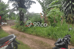 Kavling Tanah Dijual di Pamulang Tangerang Selatan Spesifikasi 6500m2 Kavling Tanah Dijual di Pamulang Tangerang Selatan Spesifikasi 6500m2