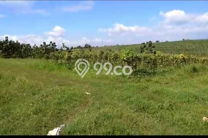 Kavling Tanah Dijual di Kertajati Majalengka Spesifikasi 64000m2 Kavling Tanah Dijual di Kertajati Majalengka Spesifikasi 64000m2