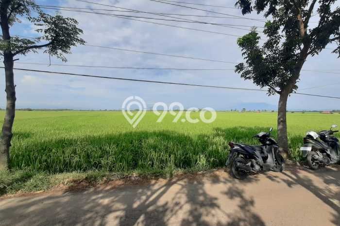 Lahan Investasi Lokasi Kertajati Majalengka SHM Lahan Investasi Lokasi Kertajati Majalengka SHM