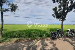Jarang Ada! Tanah di Kertajati Punya Luas 5600m2 SHM Jarang Ada! Tanah di Kertajati Punya Luas 5600m2 SHM