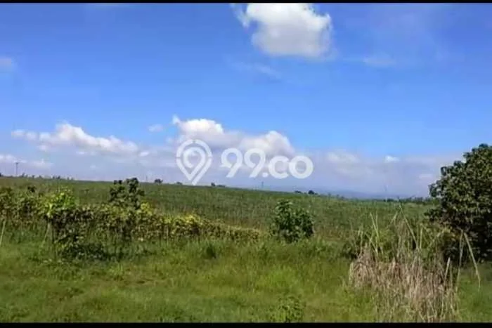Kavling Tanah Dijual di Kertajati Majalengka Spesifikasi 64000m2 Kavling Tanah Dijual di Kertajati Majalengka Spesifikasi 64000m2