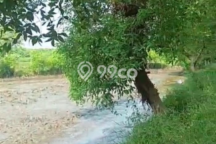 Kavling Tanah di Waru Dijual Luas 12500m2 Legalitas - Kavling Tanah di Waru Dijual Luas 12500m2 Legalitas -