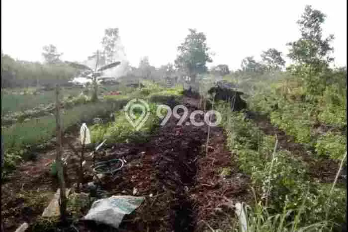 Kavling Tanah di Landasan Ulin Dijual Luas 4080m2 Legalitas - Kavling Tanah di Landasan Ulin Dijual Luas 4080m2 Legalitas -