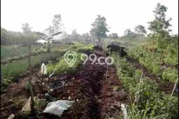 Kavling Tanah di Landasan Ulin Dijual Luas 4080m2 Legalitas - Kavling Tanah di Landasan Ulin Dijual Luas 4080m2 Legalitas -