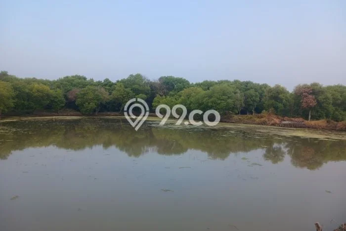 Kavling Tanah di Waru Dijual Luas 12500m2 Legalitas - Kavling Tanah di Waru Dijual Luas 12500m2 Legalitas -