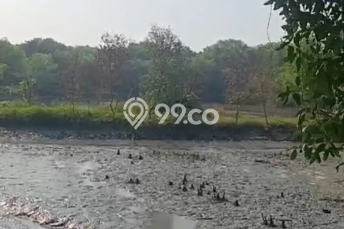 Kavling Tanah di Waru Dijual Luas 12500m2 Legalitas - Kavling Tanah di Waru Dijual Luas 12500m2 Legalitas -