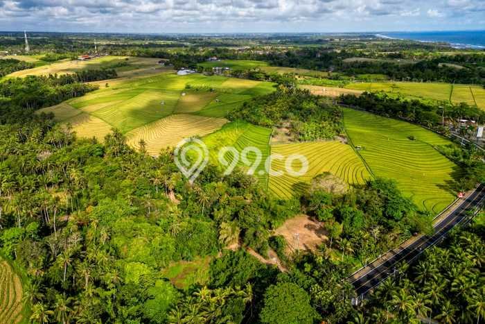 Kavling Tanah Dijual di Tabanan, Tabanan, Luas 3700m2 Area Strategis Kavling Tanah Dijual di Tabanan, Tabanan, Luas 3700m2 Area Strategis